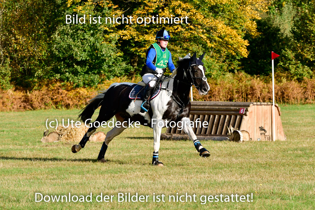 Bad Segeberg 09.10.2022 | 09102022 - XC CCI++ _354