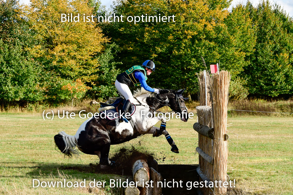 Bad Segeberg 09.10.2022 | 09102022 - XC CCI++ _355