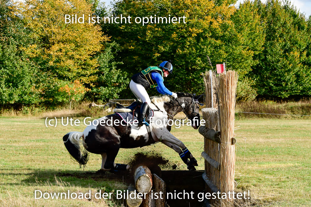 Bad Segeberg 09.10.2022 | 09102022 - XC CCI++ _356