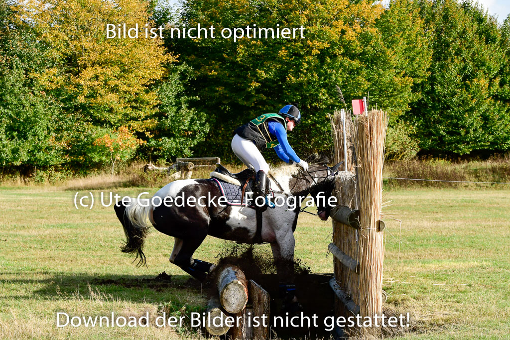 Bad Segeberg 09.10.2022 | 09102022 - XC CCI++ _357