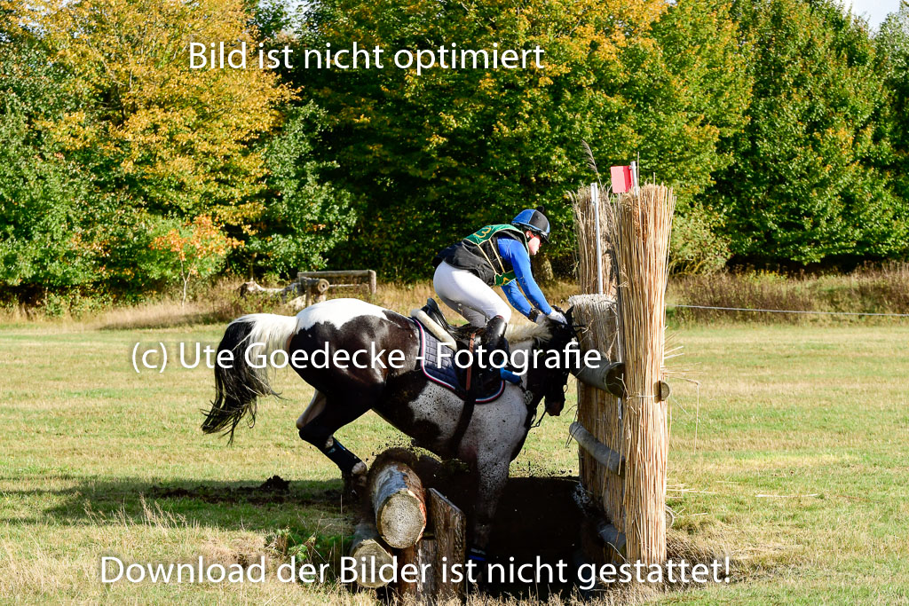 Bad Segeberg 09.10.2022 | 09102022 - XC CCI++ _358