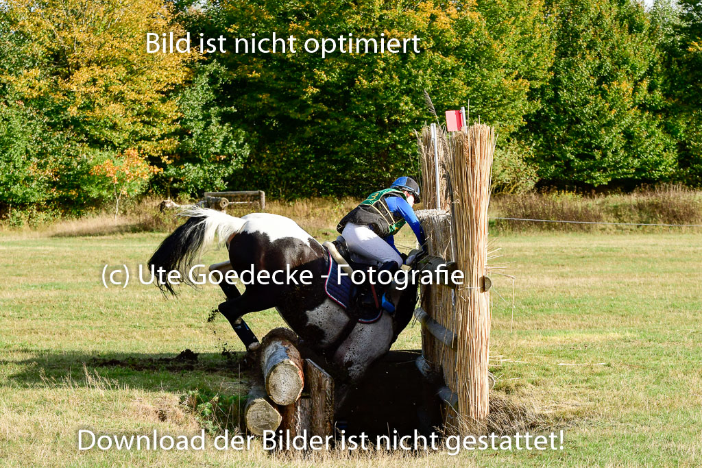 Bad Segeberg 09.10.2022 | 09102022 - XC CCI++ _359