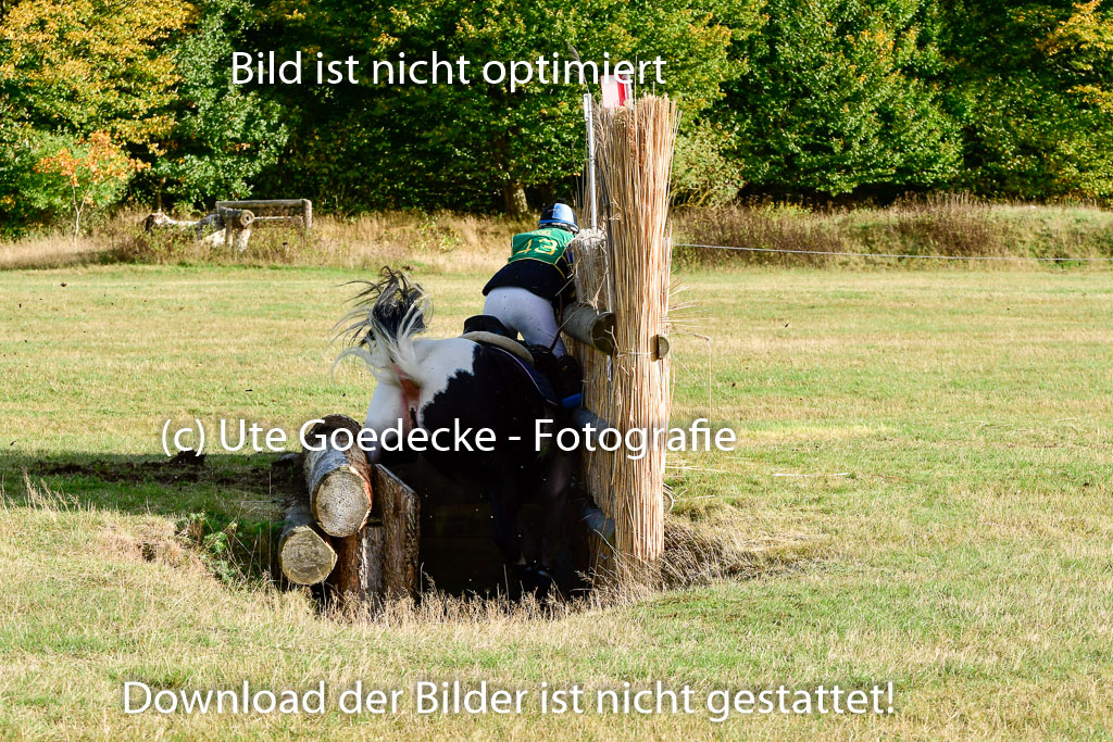 Bad Segeberg 09.10.2022 | 09102022 - XC CCI++ _361