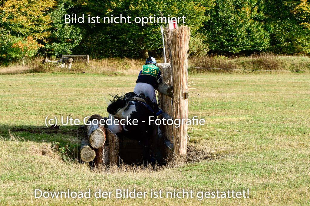 Bad Segeberg 09.10.2022 | 09102022 - XC CCI++ _362