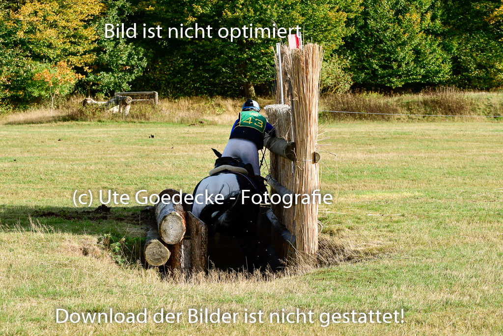 Bad Segeberg 09.10.2022 | 09102022 - XC CCI++ _363