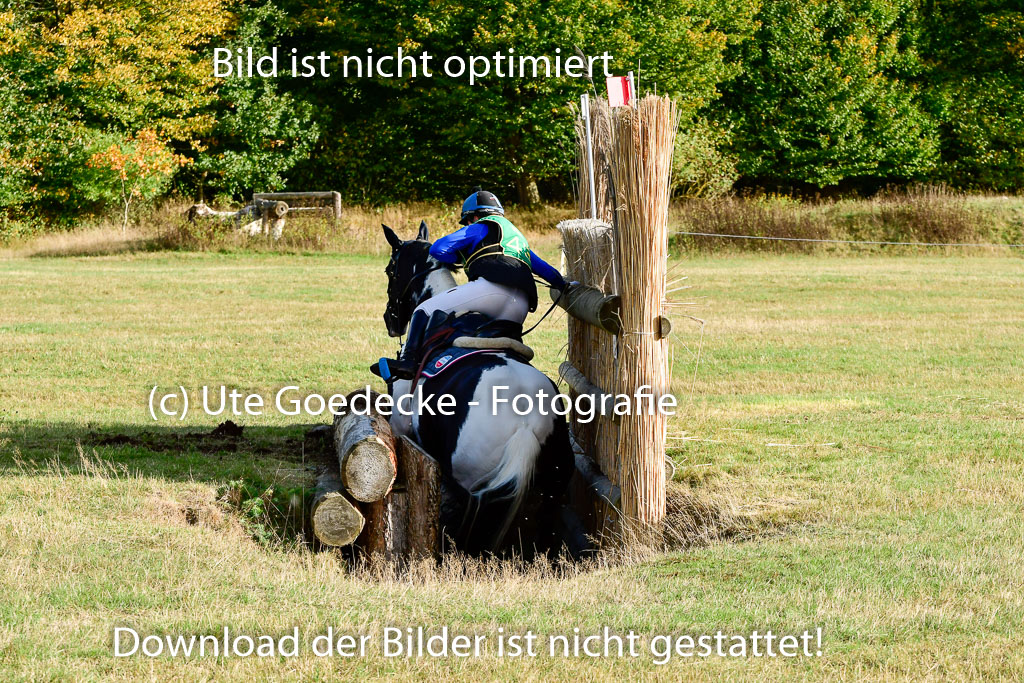 Bad Segeberg 09.10.2022 | 09102022 - XC CCI++ _365
