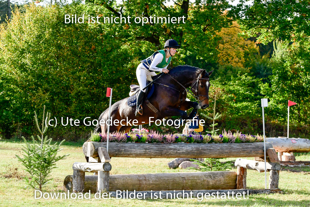 Bad Segeberg 09.10.2022 | 09102022 - XC CCI++ _367