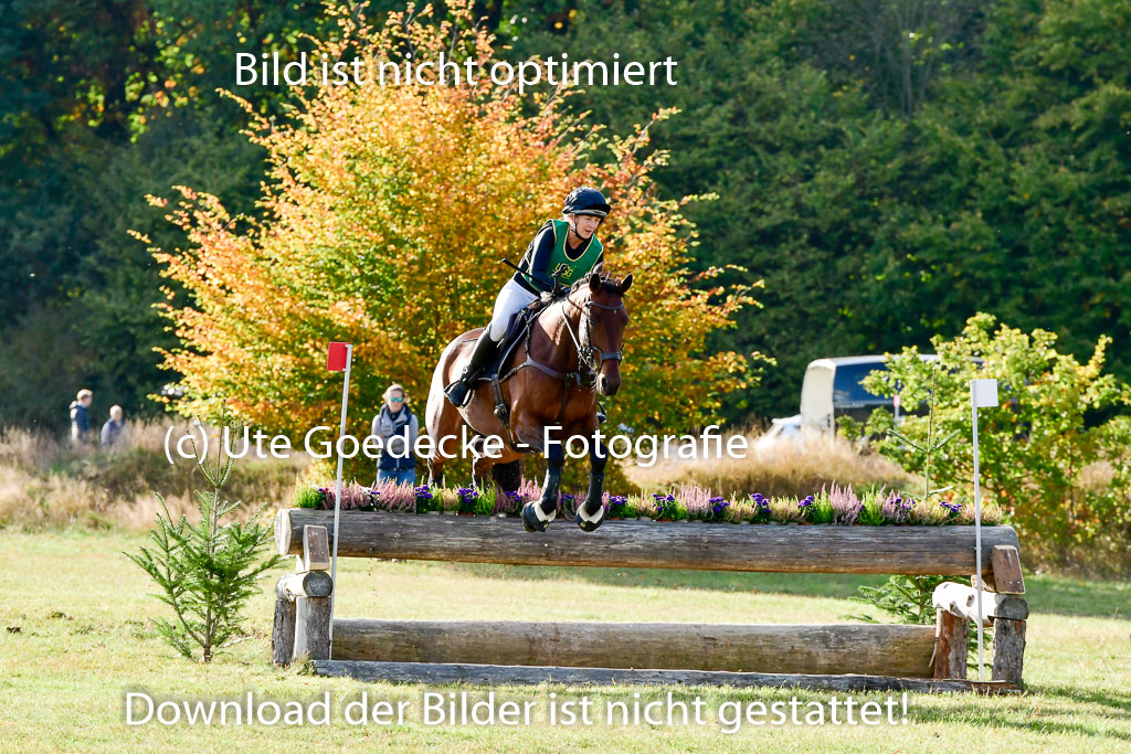 Bad Segeberg 09.10.2022 | 09102022 - XC CCI++ _370