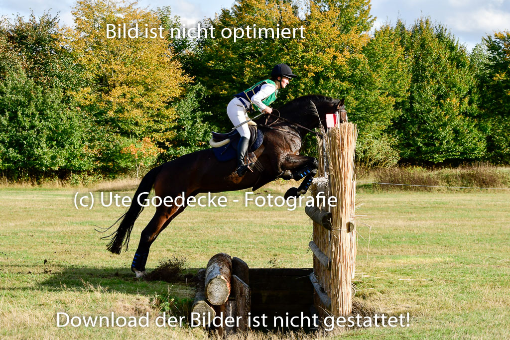 Bad Segeberg 09.10.2022 | 09102022 - XC CCI++ _371