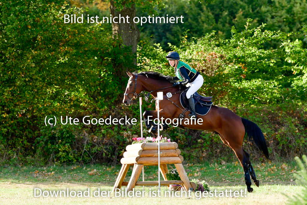 Bad Segeberg 09.10.2022 | 09102022 - XC CCI++ _373