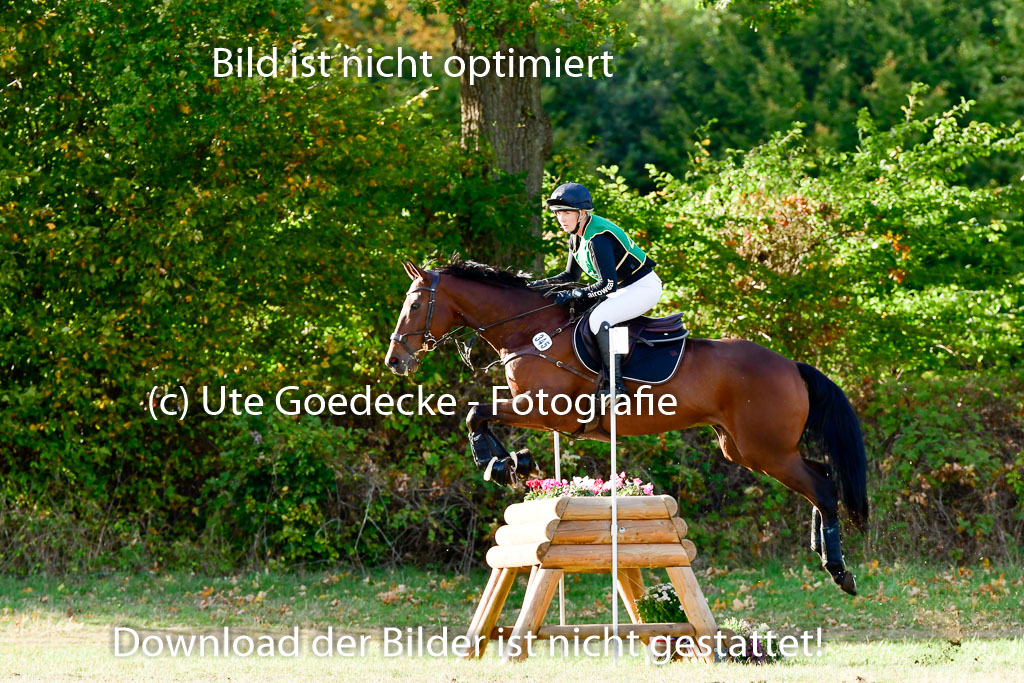 Bad Segeberg 09.10.2022 | 09102022 - XC CCI++ _374