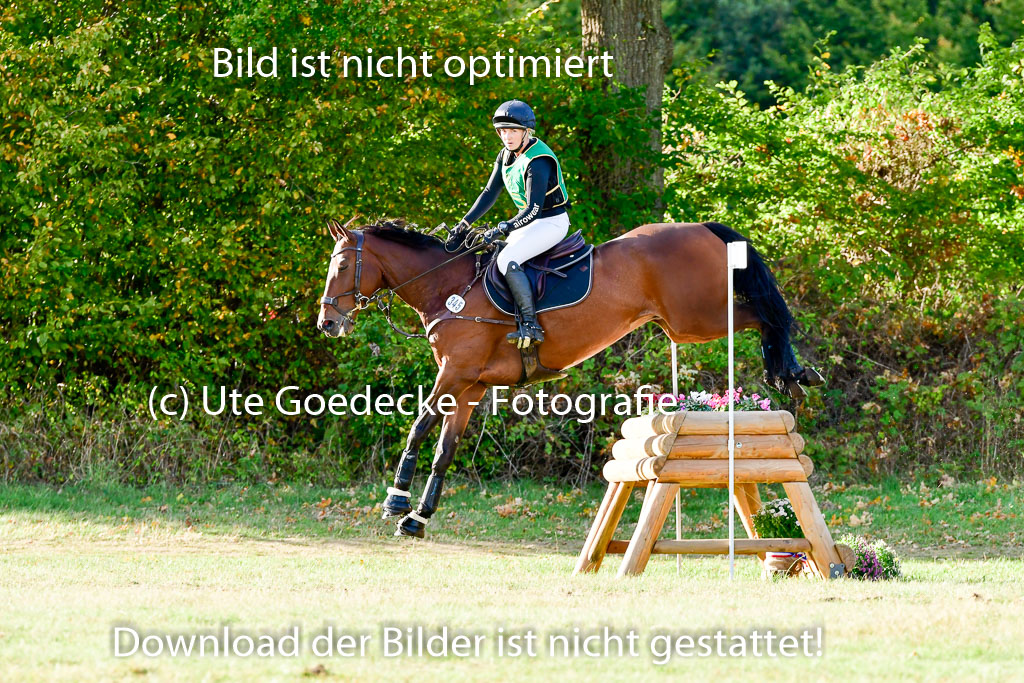Bad Segeberg 09.10.2022 | 09102022 - XC CCI++ _375