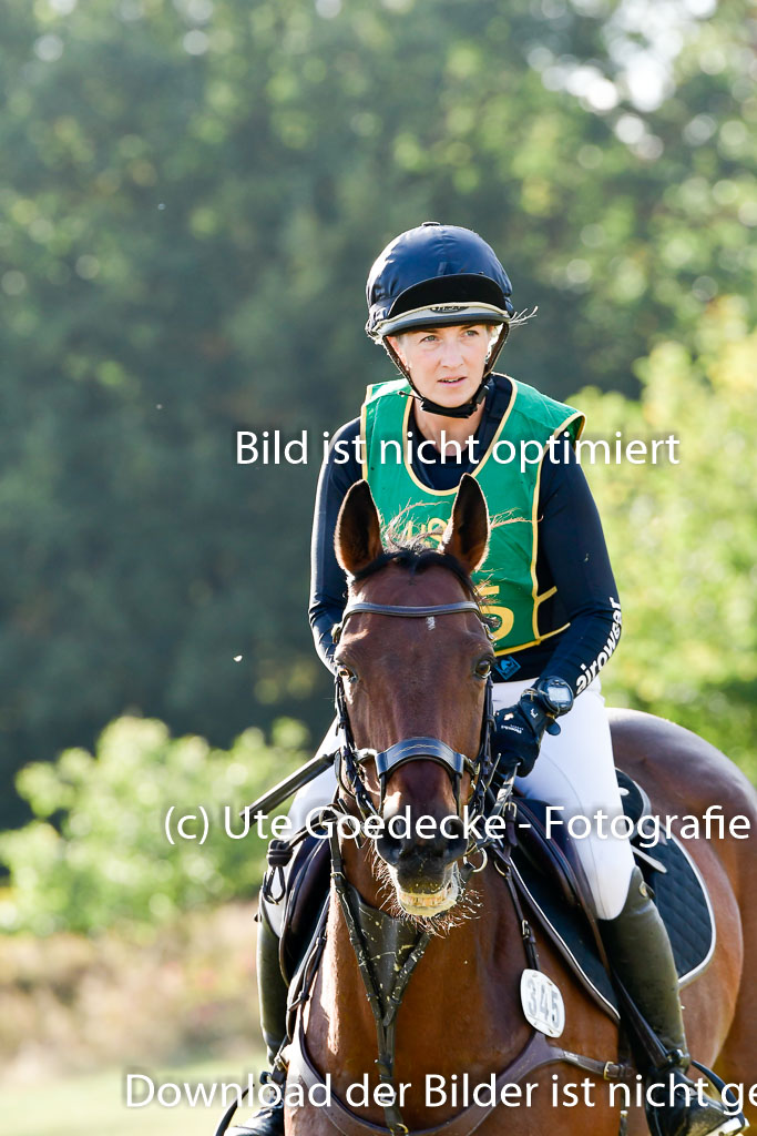 Bad Segeberg 09.10.2022 | 09102022 - XC CCI++ _377