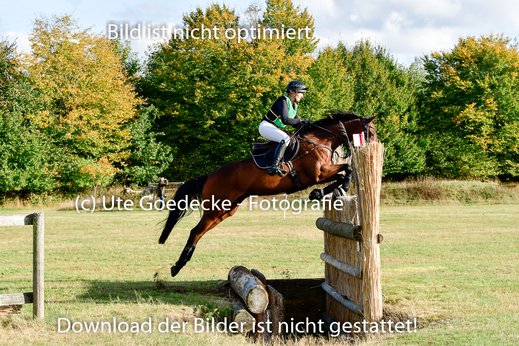 Bad Segeberg 09.10.2022 | 09102022 - XC CCI++ _379