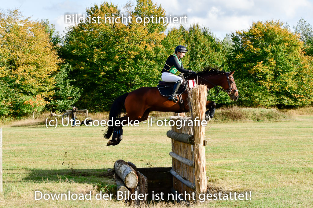 Bad Segeberg 09.10.2022 | 09102022 - XC CCI++ _380