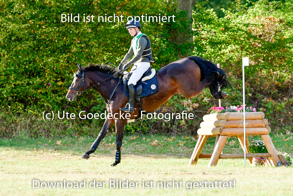 Bad Segeberg 09.10.2022 | 09102022 - XC CCI++ _385