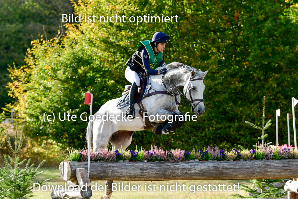 Bad Segeberg 09.10.2022 | 09102022 - XC CCI++ _392