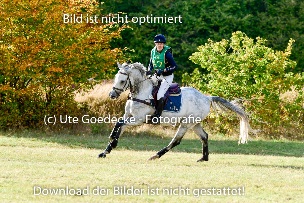 Bad Segeberg 09.10.2022 | 09102022 - XC CCI++ _396