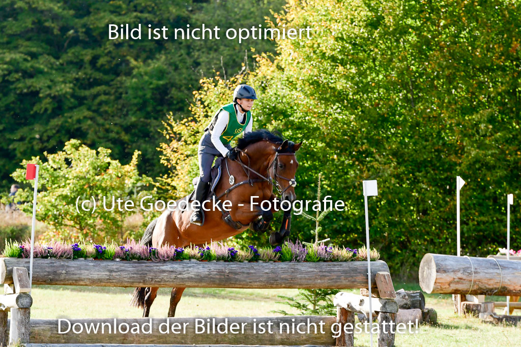 Bad Segeberg 09.10.2022 | 09102022 - XC CCI++ _398