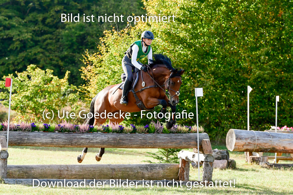 Bad Segeberg 09.10.2022 | 09102022 - XC CCI++ _399
