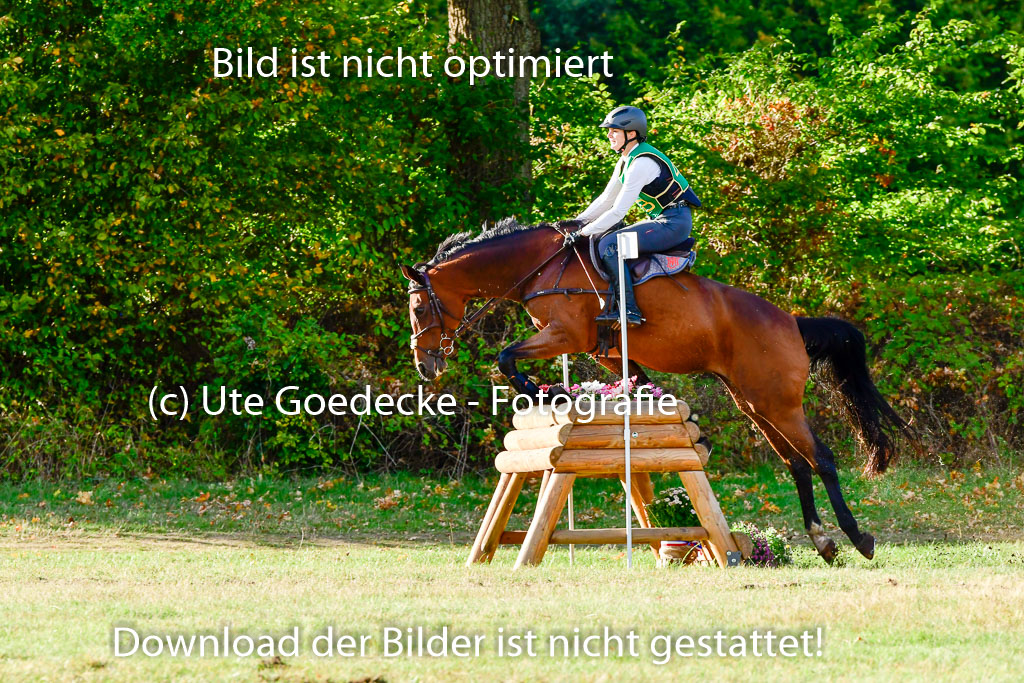 Bad Segeberg 09.10.2022 | 09102022 - XC CCI++ _400