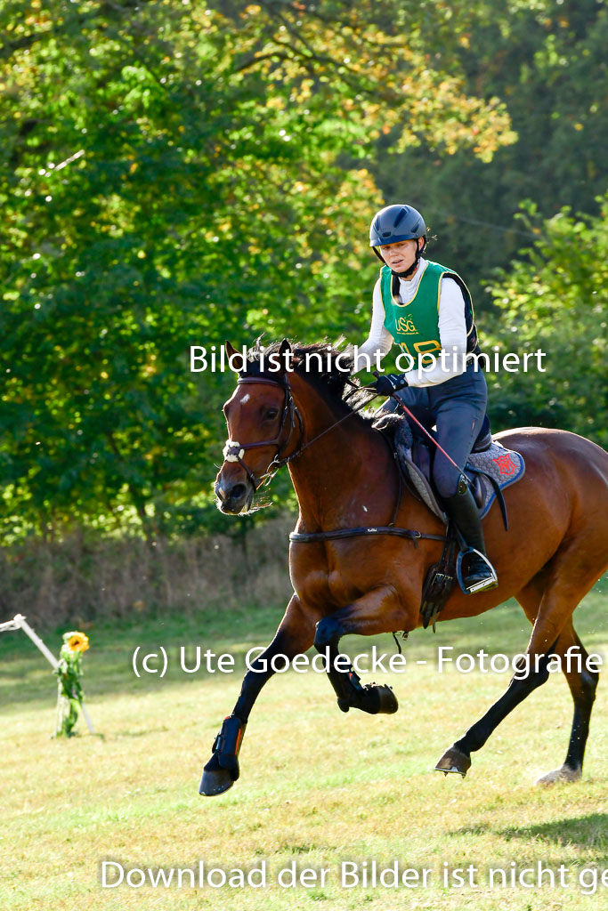 Bad Segeberg 09.10.2022 | 09102022 - XC CCI++ _401