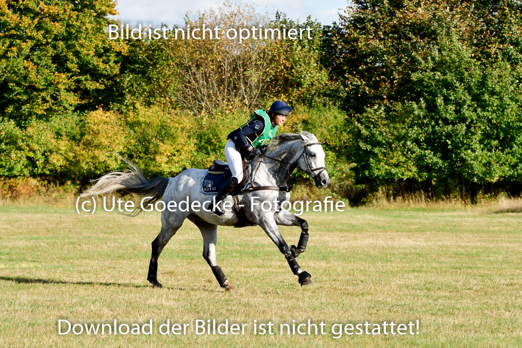 Bad Segeberg 09.10.2022 | 09102022 - XC CCI++ _404