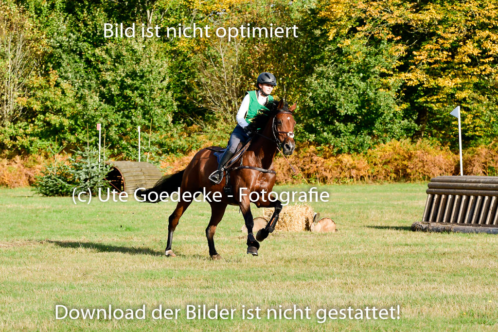 Bad Segeberg 09.10.2022 | 09102022 - XC CCI++ _405