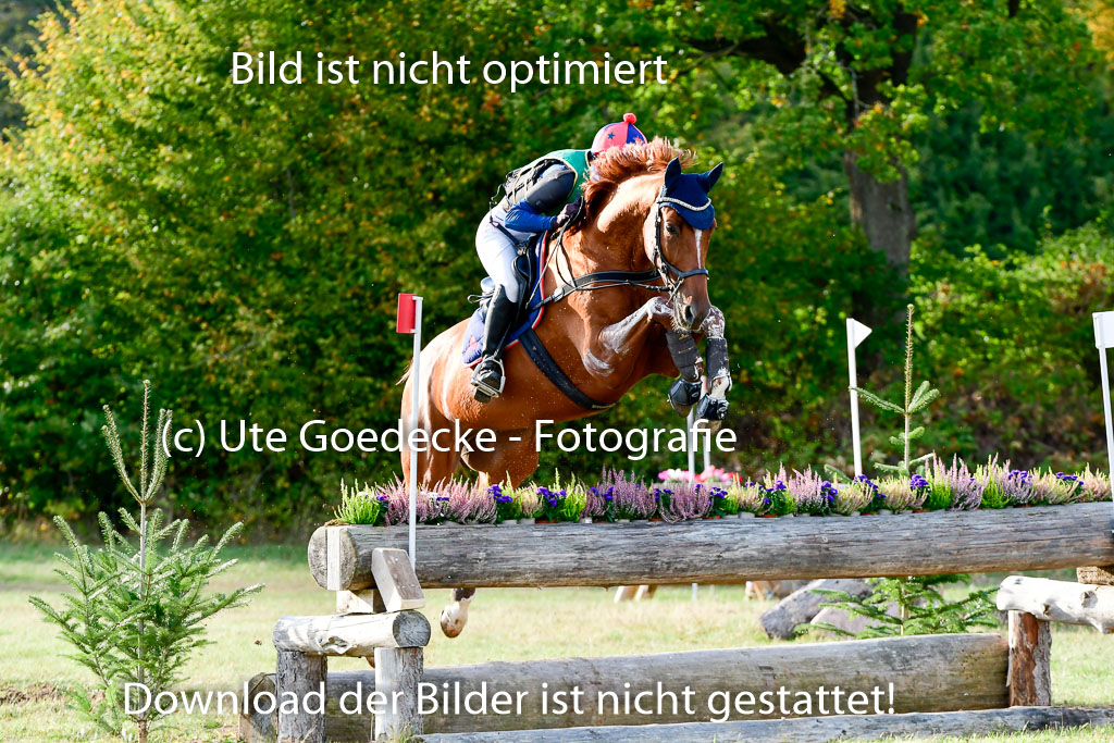 Bad Segeberg 09.10.2022 | 09102022 - XC CCI++ _410