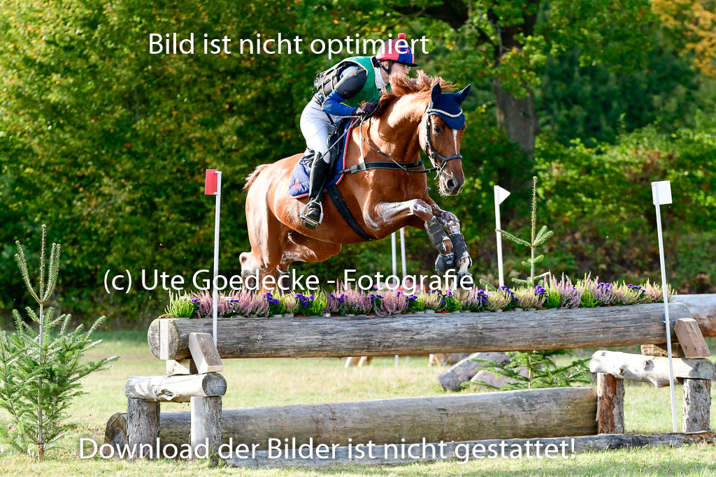 Bad Segeberg 09.10.2022 | 09102022 - XC CCI++ _411