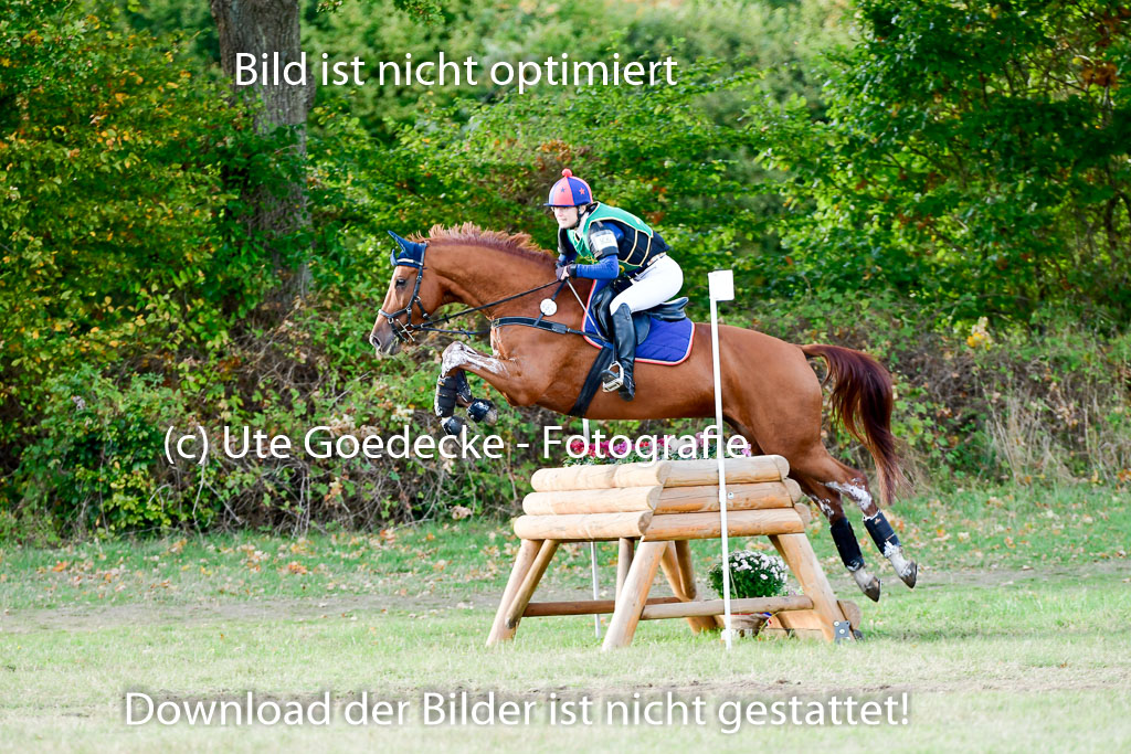 Bad Segeberg 09.10.2022 | 09102022 - XC CCI++ _413