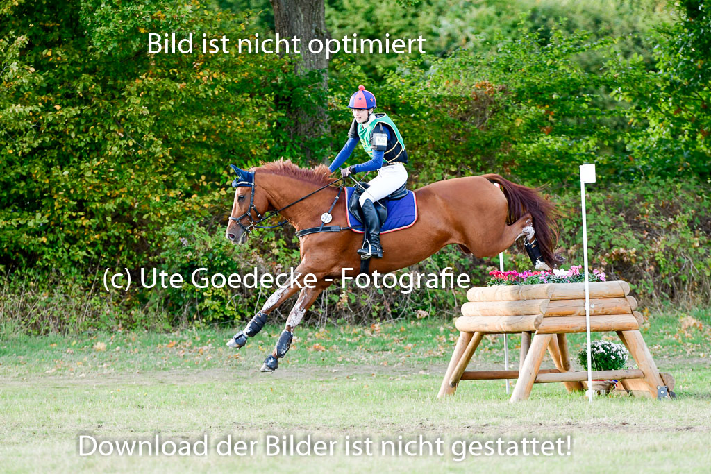Bad Segeberg 09.10.2022 | 09102022 - XC CCI++ _414