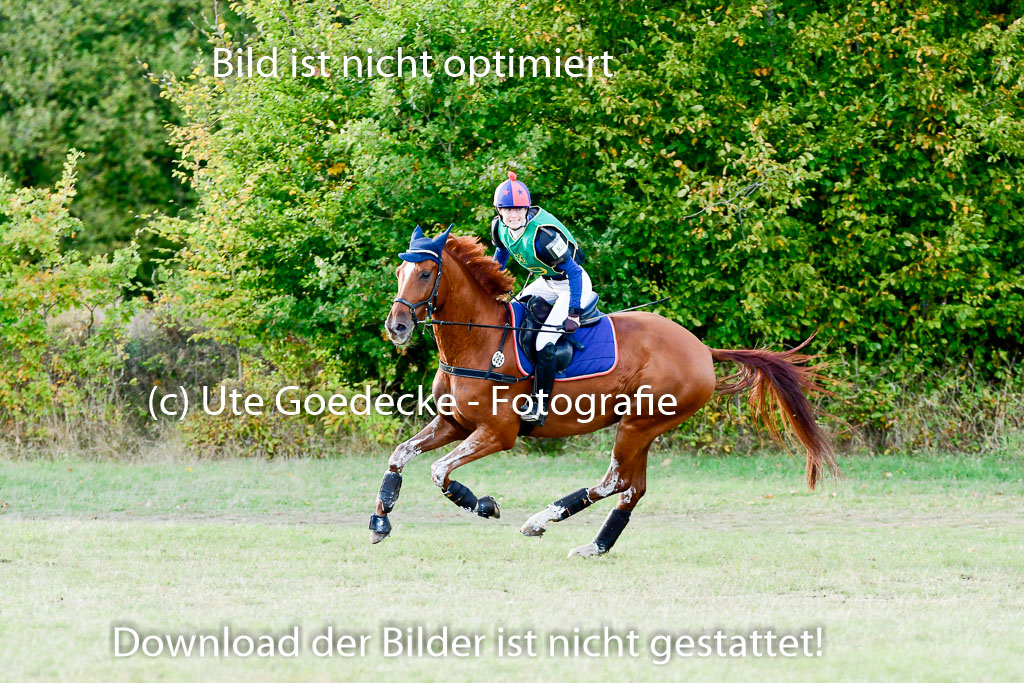 Bad Segeberg  09.10.2022 | 09102022 - XC CCI++ _415 