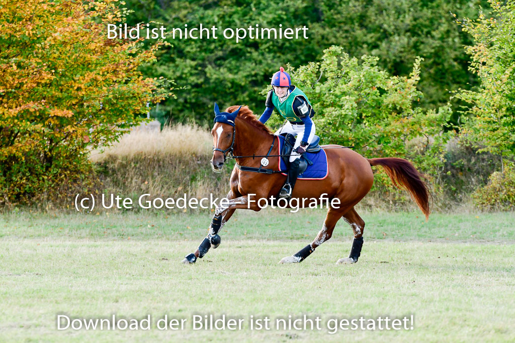 Bad Segeberg 09.10.2022 | 09102022 - XC CCI++ _417