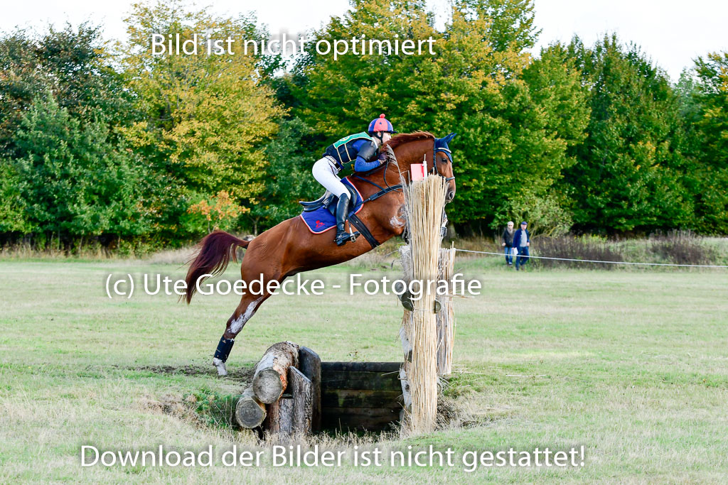 Bad Segeberg 09.10.2022 | 09102022 - XC CCI++ _420
