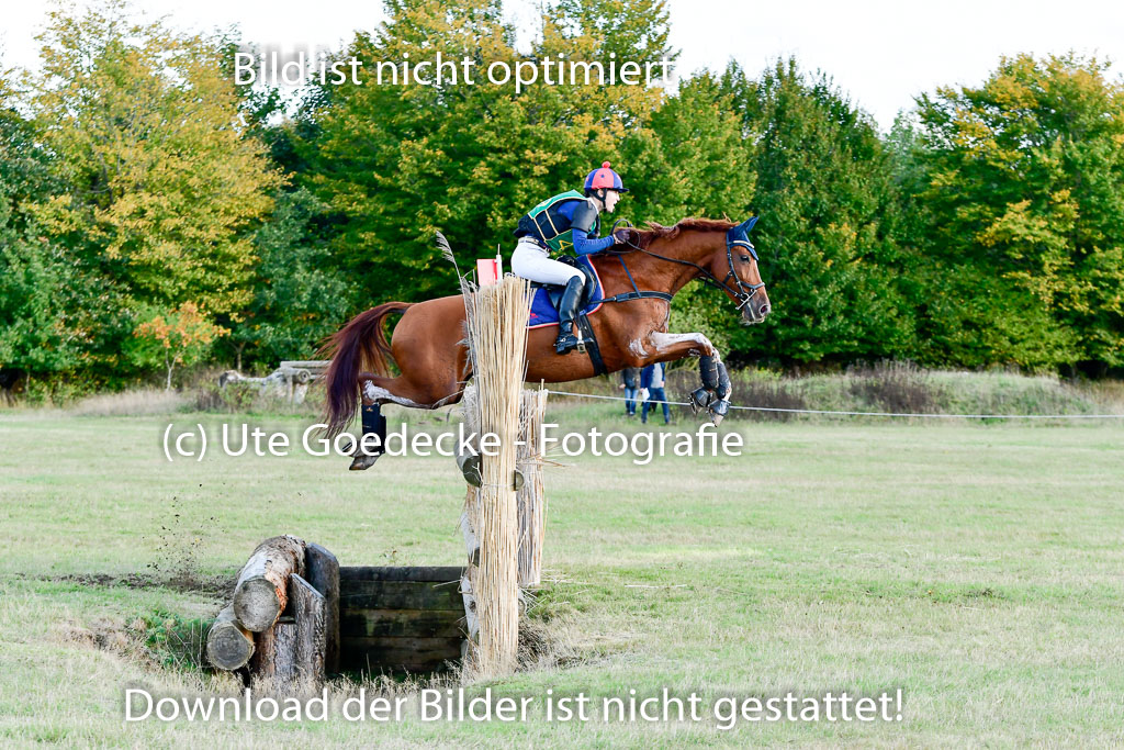 Bad Segeberg 09.10.2022 | 09102022 - XC CCI++ _422
