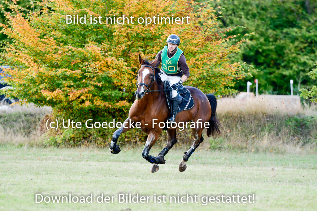 Bad Segeberg  09.10.2022 | 09102022 - XC CCI++ _426 