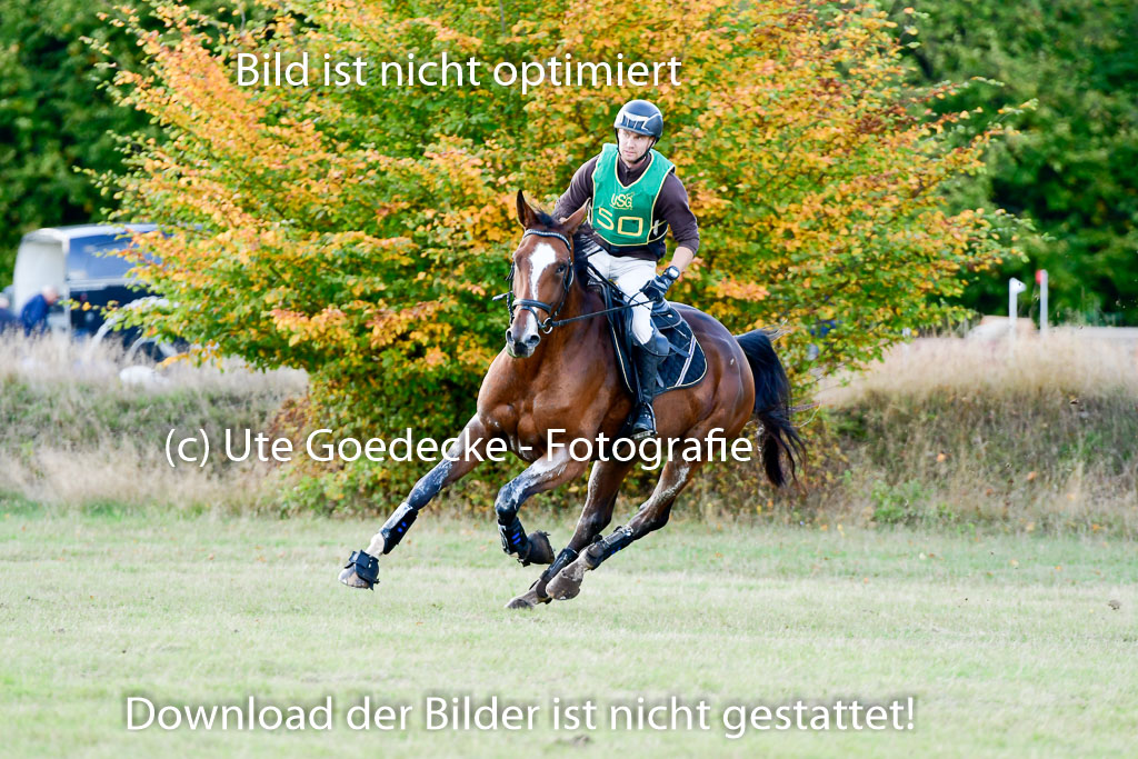 Bad Segeberg  09.10.2022 | 09102022 - XC CCI++ _427 
