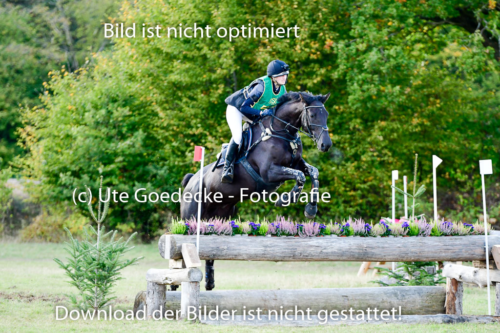 Bad Segeberg 09.10.2022 | 09102022 - XC CCI++ _431