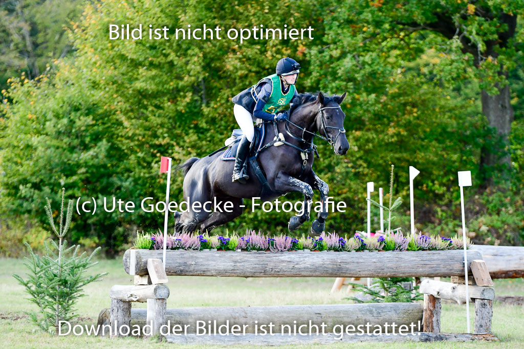 Bad Segeberg 09.10.2022 | 09102022 - XC CCI++ _432