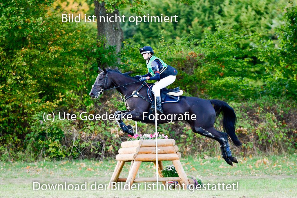 Bad Segeberg 09.10.2022 | 09102022 - XC CCI++ _436