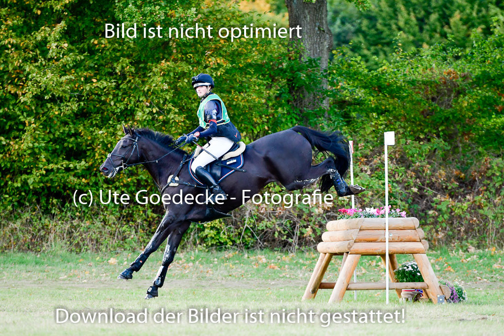 Bad Segeberg 09.10.2022 | 09102022 - XC CCI++ _437