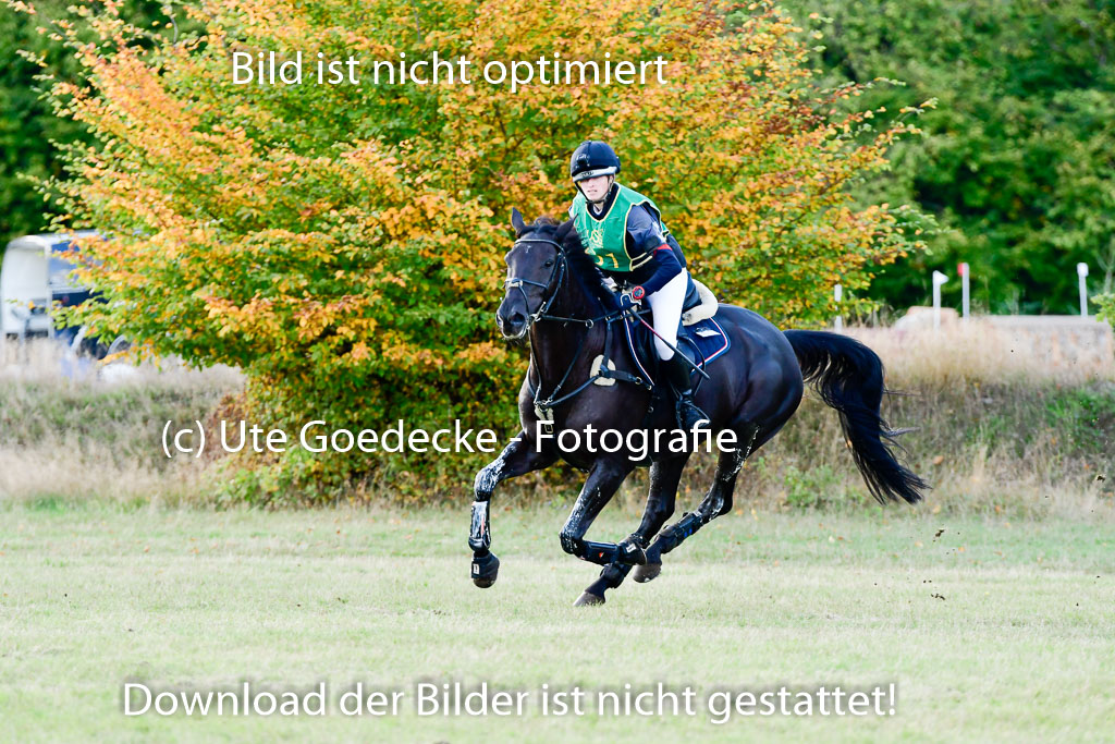 Bad Segeberg 09.10.2022 | 09102022 - XC CCI++ _439