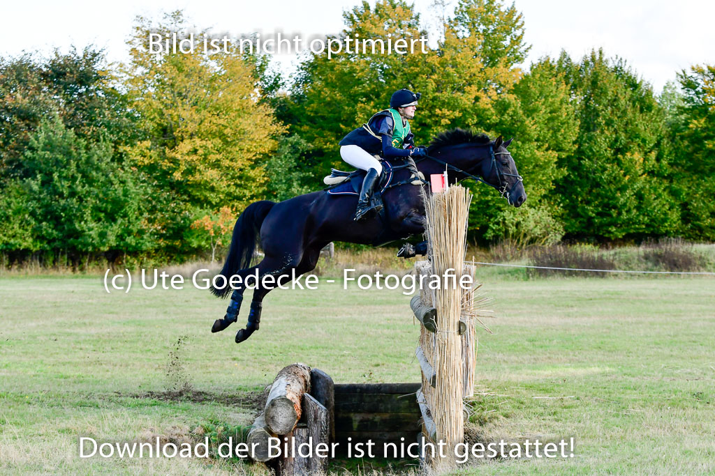 Bad Segeberg 09.10.2022 | 09102022 - XC CCI++ _445