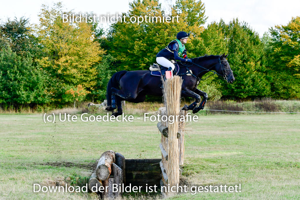 Bad Segeberg 09.10.2022 | 09102022 - XC CCI++ _446