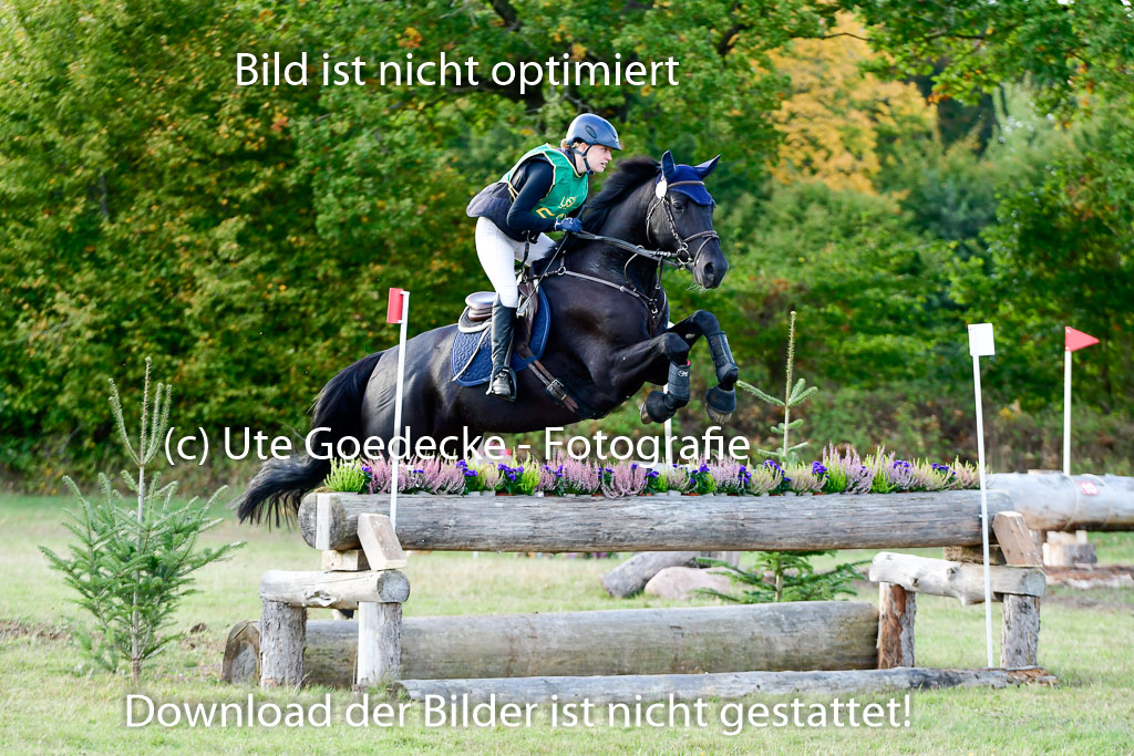 Bad Segeberg 09.10.2022 | 09102022 - XC CCI++ _447