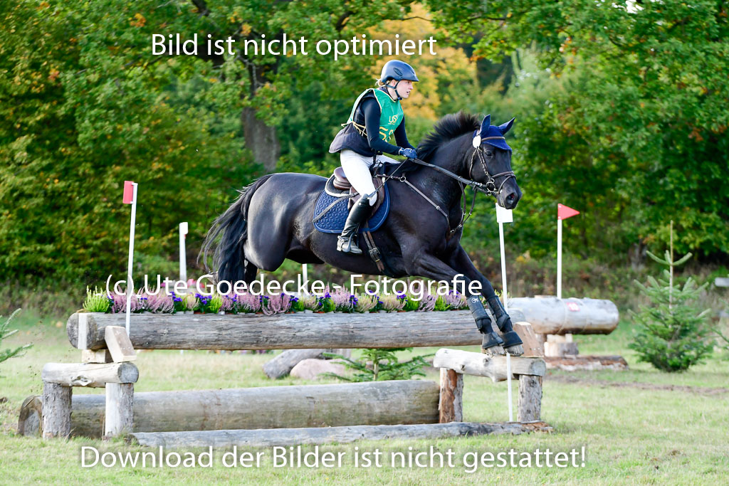 Bad Segeberg 09.10.2022 | 09102022 - XC CCI++ _449
