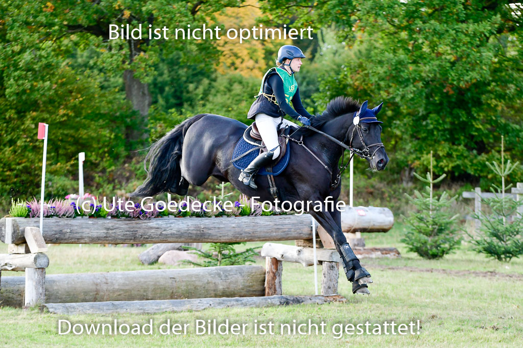 Bad Segeberg 09.10.2022 | 09102022 - XC CCI++ _450
