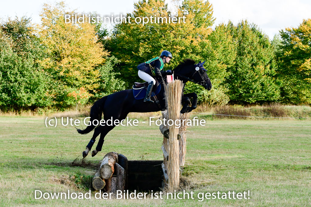 Bad Segeberg  09.10.2022 | 09102022 - XC CCI++ _457 