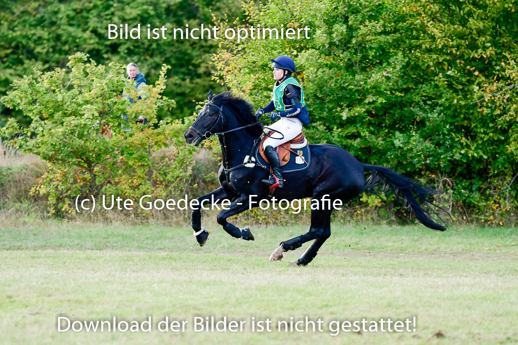 Bad Segeberg 09.10.2022 | 09102022 - XC CCI++ _459